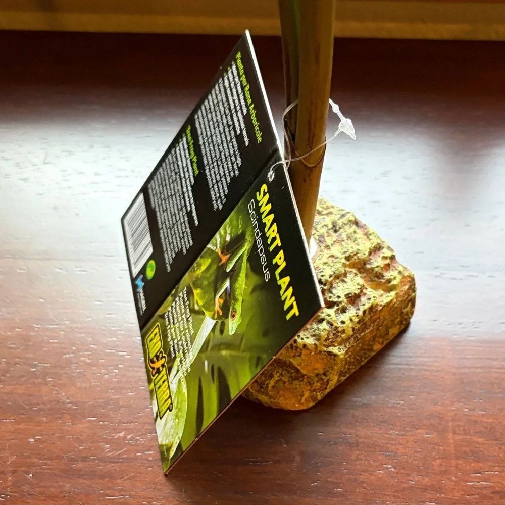 New Exo-Terra Smart Plant Scindapsus Ideal for Terrariums